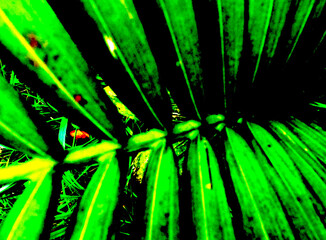 Green Leaf Illustration. Plant Foliage Detail. Botanical Art in Green Tones.