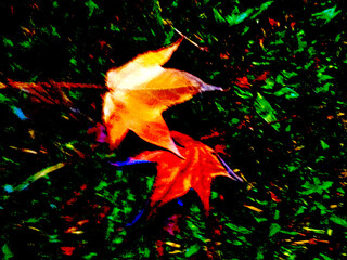 Dry Leaves on Green Grass. Autumn Foliage Contrast. Nature's Seasonal Transition. Illustration of fallen dry leaves amidst green grass.