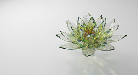 lily pad in nature and pond