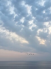 Background with natural beauty, dawn sky, beautiful clouds and seascape, Gangneung, South Korea - 자연의 아름다움, 새벽 하늘, 멋진 구름과 바다 풍경이 담긴 배경, 강릉, 한국