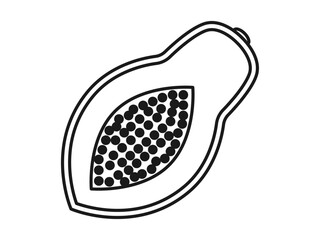 Papaya icon. Fruits and vegetables outline icon. Simple vector illustration in modern thin line style.