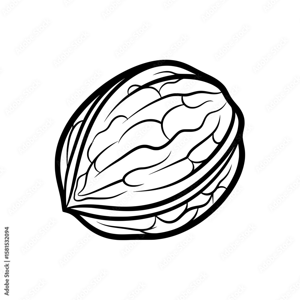 Poster line art walnut with shell and kernels isolated on black background for food and cooking