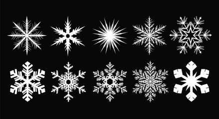 Decorative set of white snowflakes on a black background