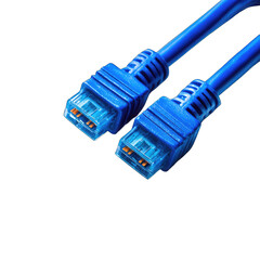 Close-up of two blue cables with connectors