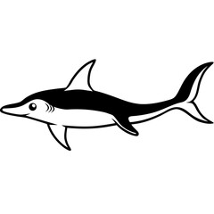 Obraz premium hammerhead shark swimming forward on white background