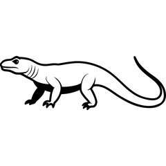 komodo dragon walking slowly on white background