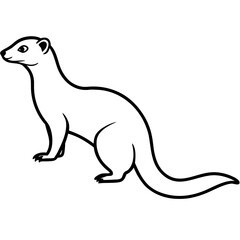 Obraz premium mongoose standing alert on white background