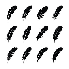 Collection of twelve black feather icons on a white background