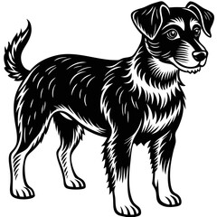 vector illustration of dog