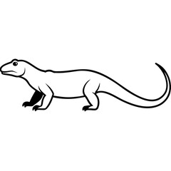 komodo dragon walking slowly on white background