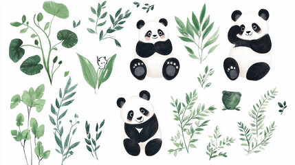Set of cute panda