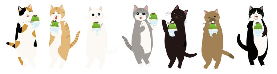 抹茶かき氷を持つ7匹の猫