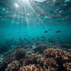 Fototapeta premium coral reef and diver