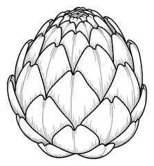 Obraz premium Detailed Line Art Illustration of an Artichoke Flower