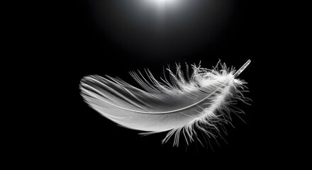 A minimalist and serene photograph of a single, detailed white feather floating in a dark, empty space.