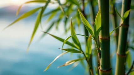 Lush bamboo leaves sway gently in breeze, creating serene meditation spot in rainforest, inviting tranquility and peace