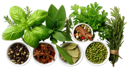 Herbs & spices Basil, rosemary, sage, more