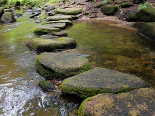 Creek Crossing Over Moss-Covered Rustic Stones Invites Adventurous Hikers to Explore Enchanting Tranquil Forest Stream