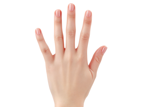 Woman's hand showing five fingers against black background, Isolated On Transparent Background, Png