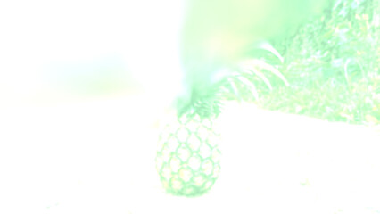 Abstract background. Pineapple fruit. Gradient white green blurred placed in the middle of an unfinished road through a public area in a village. Central Thailand. Pineapple, Fruit, Isolated, Hot, Fre