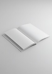 Blank Pages, Open Future