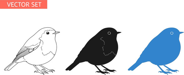 Charming robin bird vector set rendered in three distinct graphic styles