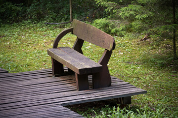 Wooden Bench on a Deck Surrounded by Green Forest Scenery