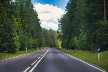 Fototapeta premium Peaceful Country Road Surrounded by Dense Green Forest under Blue Skies