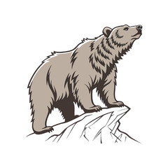 vector illustration of a bear