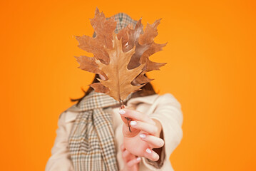 Woman with autumn leaves. Woman near autumn fall leaves in park. Girl on autumnal fall background....