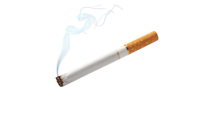 Burning cigarette with wisps of smoke isolated on a transparent background tobacco white