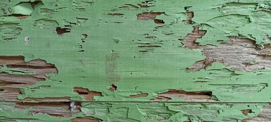 Weathered Green Painted Wood with Peeling and Cracks. Close-up of old wooden surface with peeling...