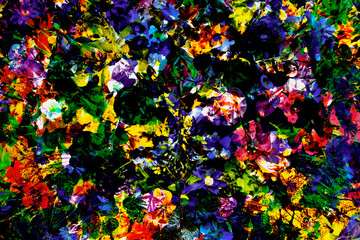 Enchanted Garden of Illusions