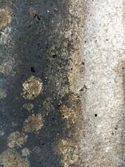Heavily Stained Concrete with Lichen. A close-up of a severely discolored and textured concrete...