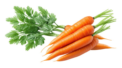 Fresh isolated carrot with green leaves on transparent background in bright color