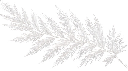 A leafy branch with a white background