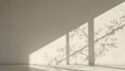 A white wall with sunlight shadows from tree branches