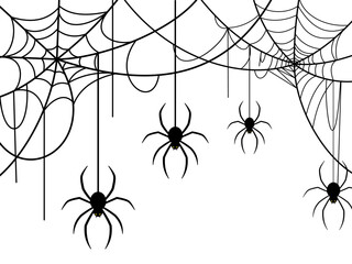 Halloween background or banner concept with spider silhouette. Vector illustration.