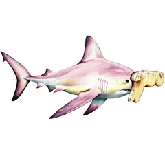 Fototapeta premium Whical Shark with a Cartoonish Appearance Holding a large wooden club, Creative Illustration of a Playful Marine Creature
