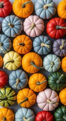 Colorful Autumn Pumpkins Harvest Fall Foliage Cozy Seasonal Nature