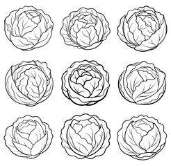 Cabbage vegetable cartoon for coloring book vector