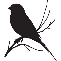 Black Silhouette of a Small canary Perched on Branch Vector Illustration