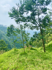 Ekowisata Merapi Kali Talang at Klaten Central Java