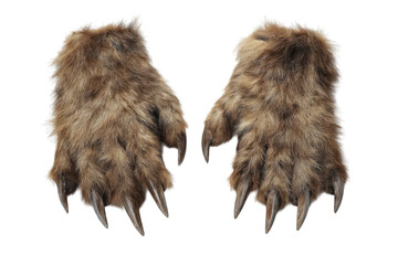 Furry Bear Paws with Sharp Claws