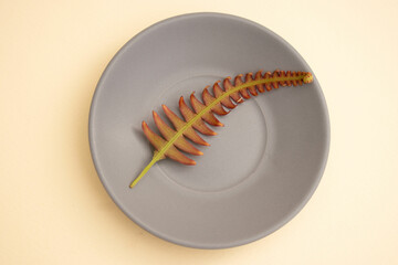 Green Wellness Aesthetic: Leaf on White Plate for Spa and Natural Lifestyle Concepts