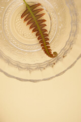 Green Wellness Aesthetic: Leaf on White Plate for Spa and Natural Lifestyle Concepts