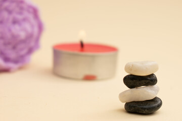 Green Wellness Aesthetic: Leaf on White Plate for Spa and Natural Lifestyle Concepts
