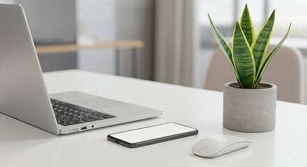 Clean Minimalist Desk with Laptop and Plant