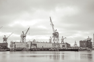 cranes dances in the harbor
