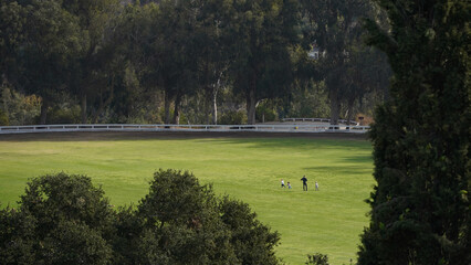 Obraz premium Family playing on the yard/field. Parents and kids